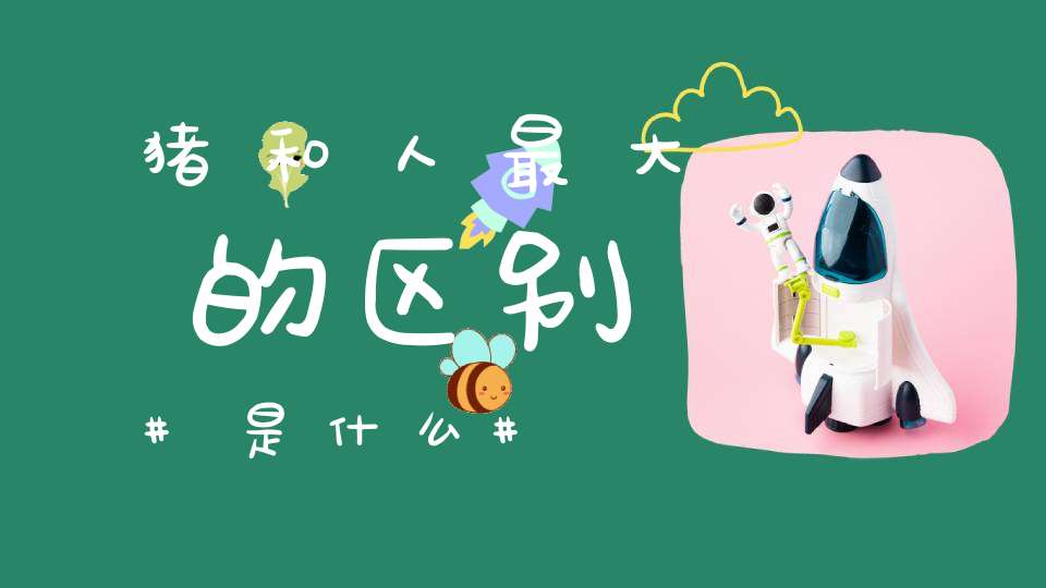 猪和人最大的区别是什么