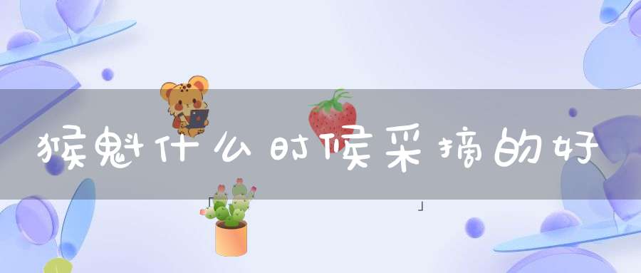 猴魁什么时候采摘的好