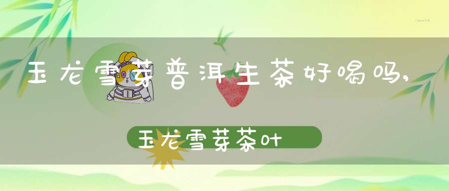 玉龙雪芽普洱生茶好喝吗,玉龙雪芽茶叶