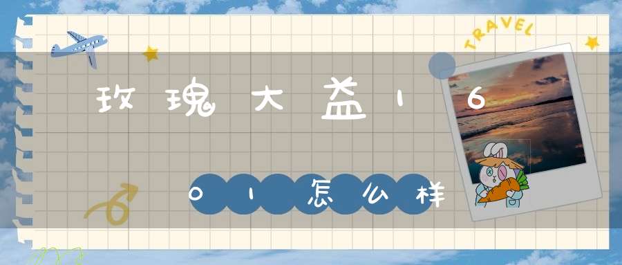 玫瑰大益1601怎么样