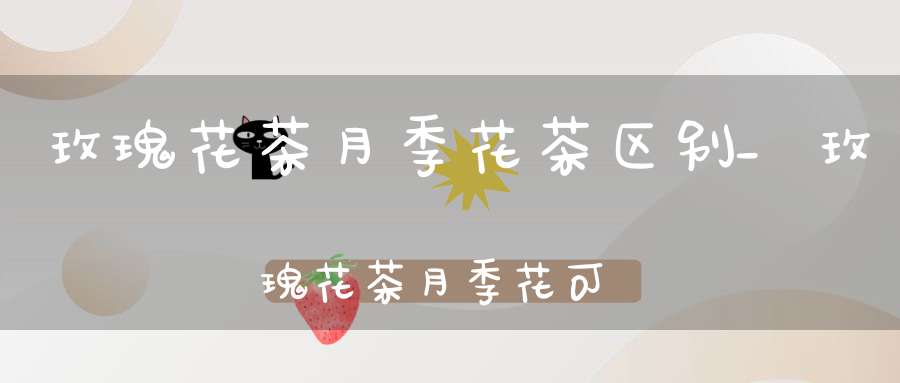 玫瑰花茶月季花茶区别_玫瑰花茶月季花可以天天喝吗