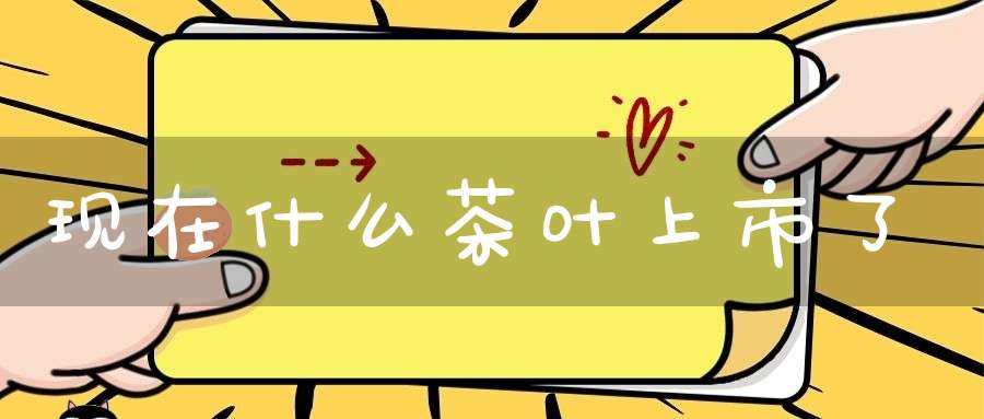 现在什么茶叶上市了