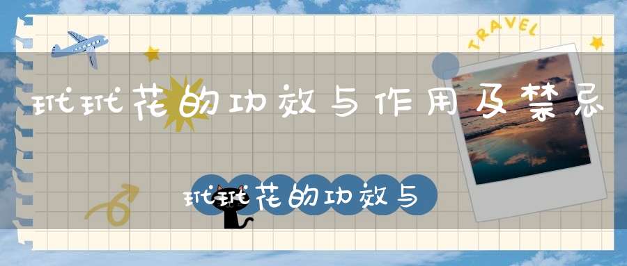玳玳花的功效与作用及禁忌玳玳花的功效与作用点