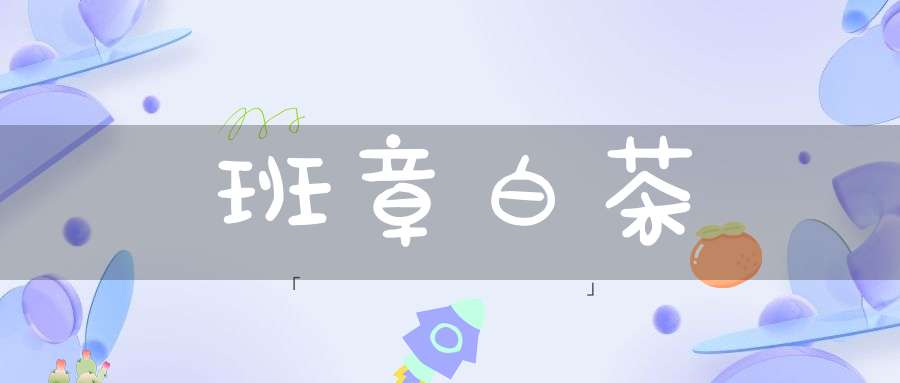 班章白茶