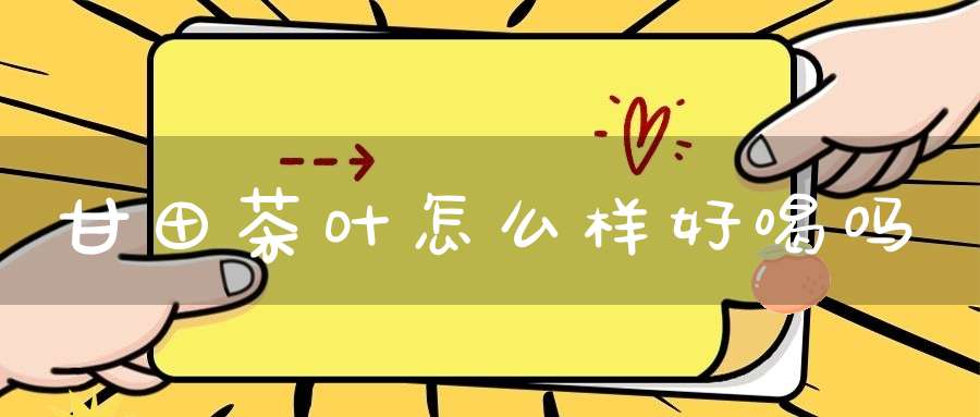 甘田茶叶怎么样好喝吗