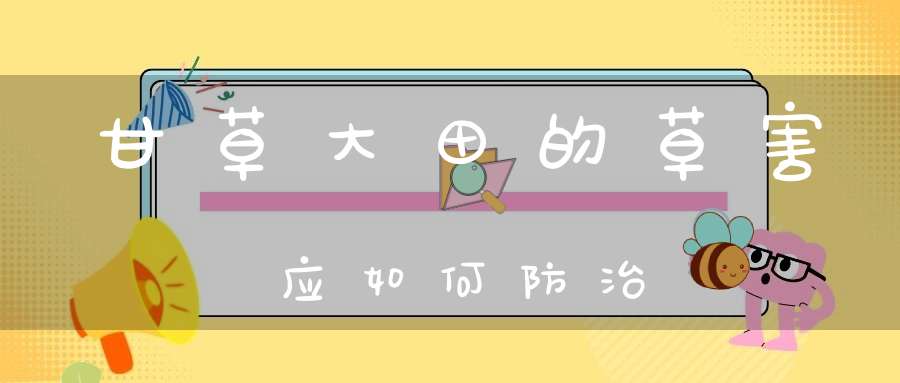 甘草大田的草害应如何防治？