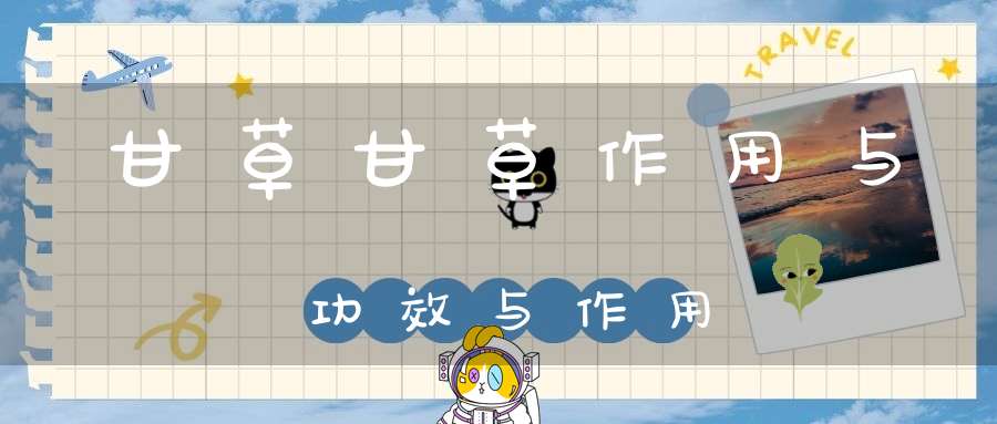 甘草甘草作用与功效与作用