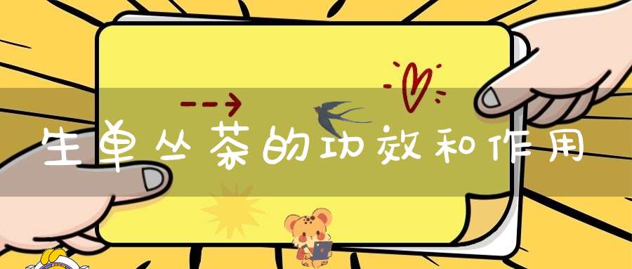 生单丛茶的功效和作用