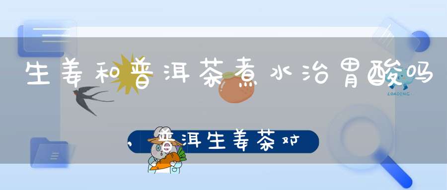 生姜和普洱茶煮水治胃酸吗,普洱生姜茶对胃酸过多