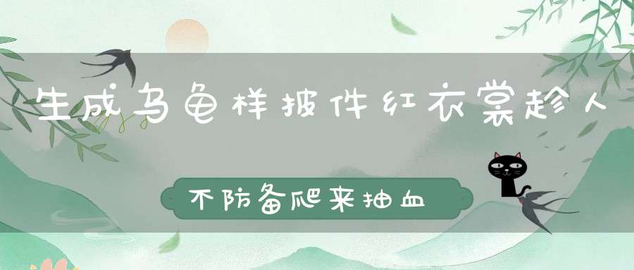 生成乌龟样，披件红衣裳，趁人不防备，爬来抽血浆。 （猜一动物）