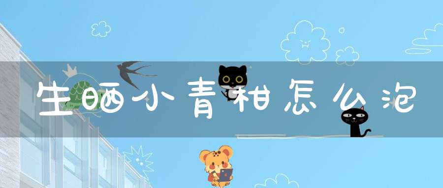 生晒小青柑怎么泡