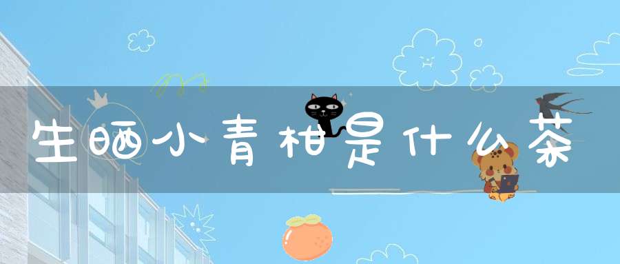 生晒小青柑是什么茶