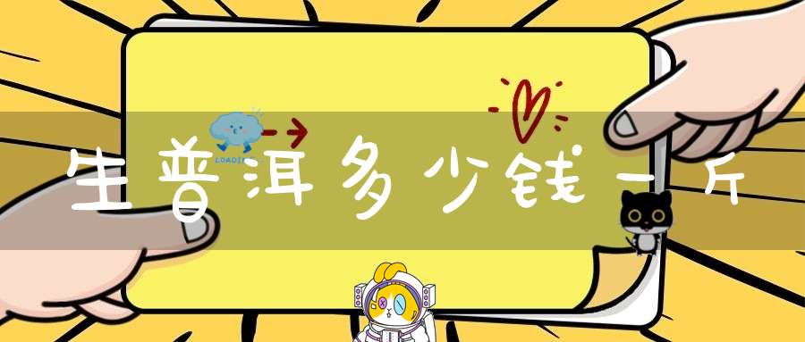 生普洱多少钱一斤