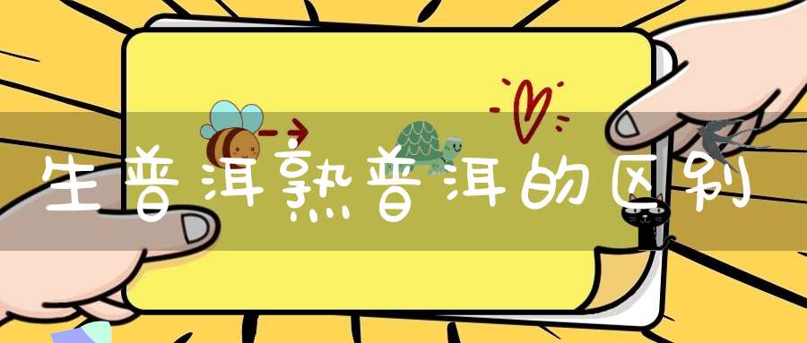 生普洱熟普洱的区别
