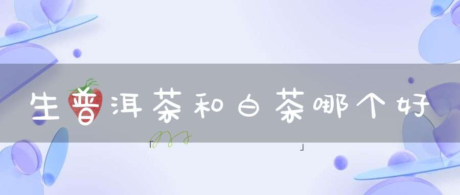 生普洱茶和白茶哪个好