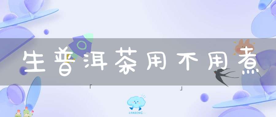 生普洱茶用不用煮