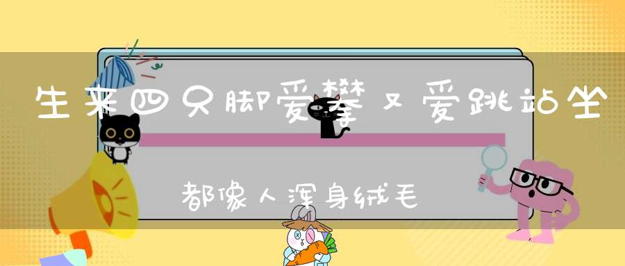 生来四只脚，爱攀又爱跳，站坐都像人，浑身绒毛毛。 （猜一动物）