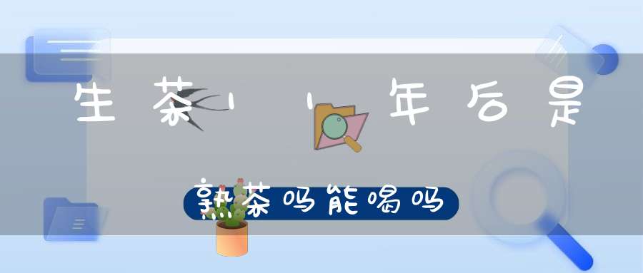 生茶11年后是熟茶吗能喝吗