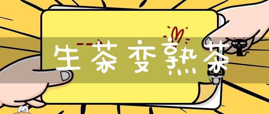 生茶变熟茶