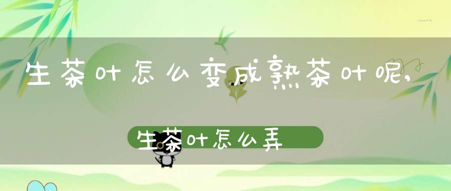 生茶叶怎么变成熟茶叶呢,生茶叶怎么弄