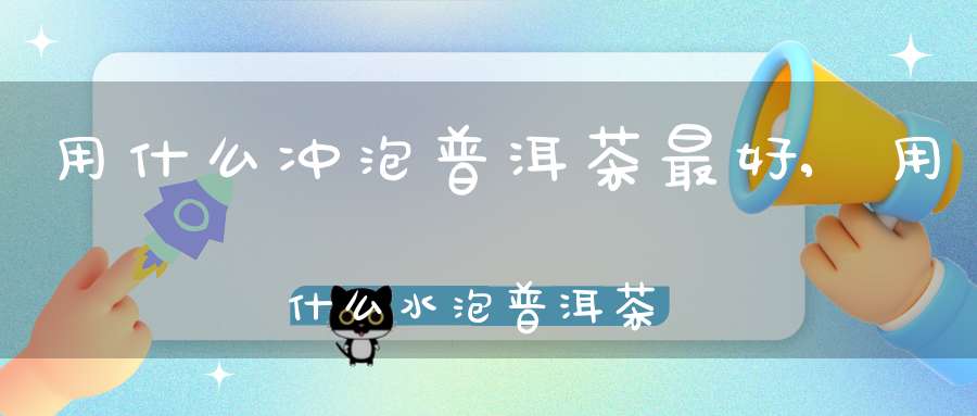 用什么冲泡普洱茶最好,用什么水泡普洱茶好喝