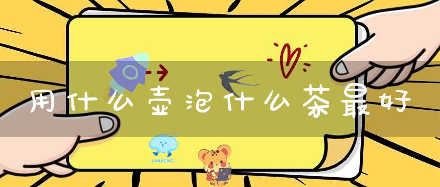 用什么壶泡什么茶最好
