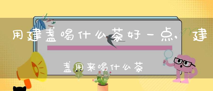 用建盏喝什么茶好一点,建盏用来喝什么茶