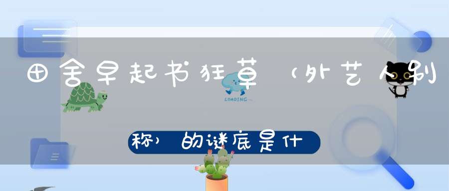 田舍早起书狂草 （外艺人别称）的谜底是什么?