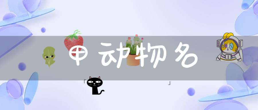甲  动物名