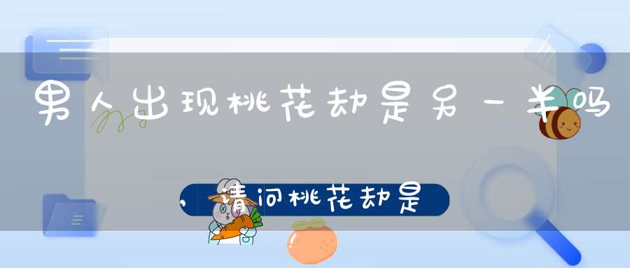 男人出现桃花劫是另一半吗,请问桃花劫是什么意思？