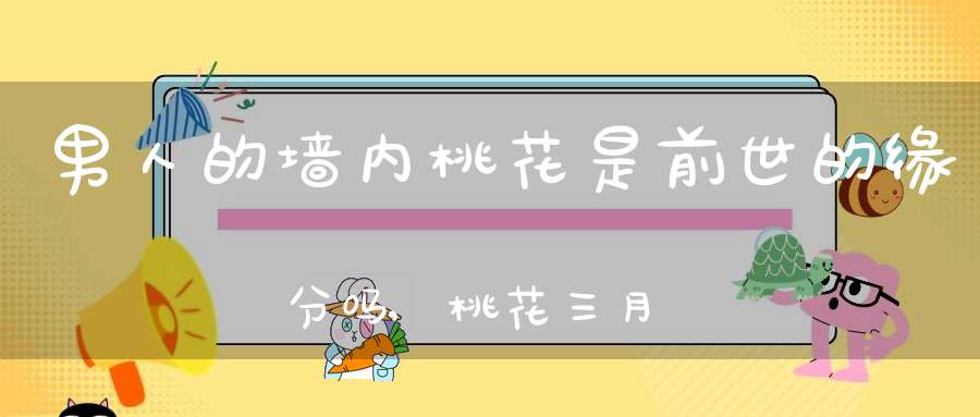 男人的墙内桃花是前世的缘分吗,桃花三月似红云，有缘男女结终身，前世有缘成并蒂，双飞鸾凤两心同，姻缘签，怎么解