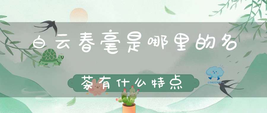 白云春毫是哪里的名茶有什么特点