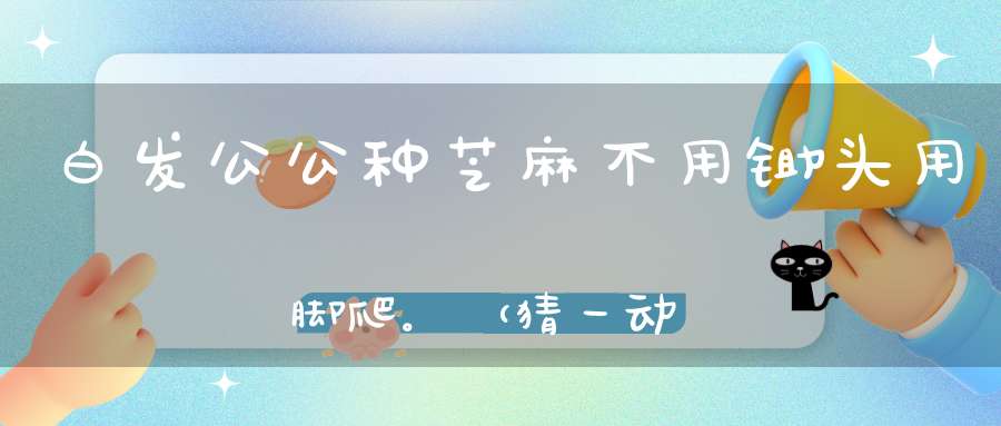 白发公公种芝麻，不用锄头用脚爬。 （猜一动物）