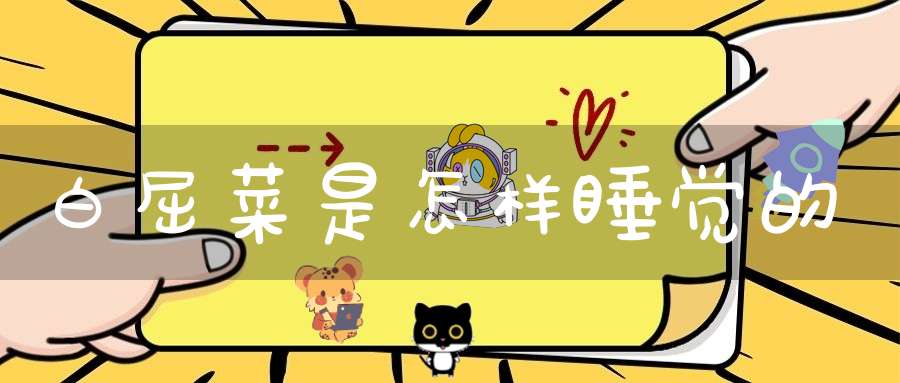 白屈菜是怎样睡觉的？