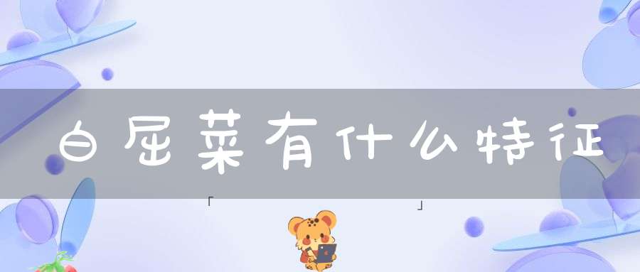 白屈菜有什么特征？