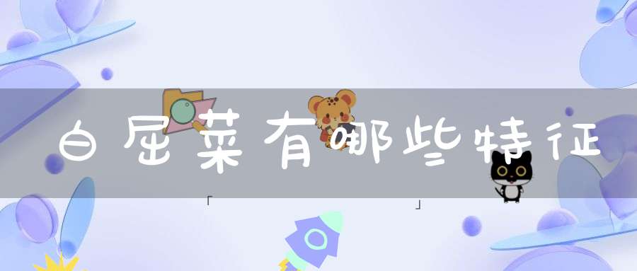 白屈菜有哪些特征？