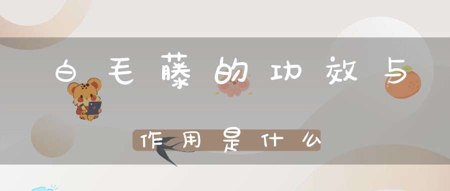 白毛藤的功效与作用是什么？