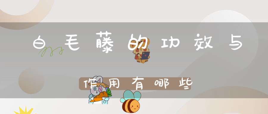 白毛藤的功效与作用有哪些？