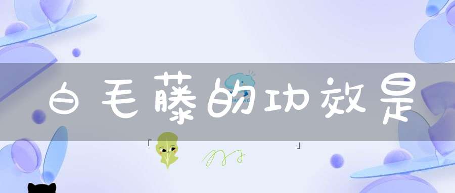白毛藤的功效是？