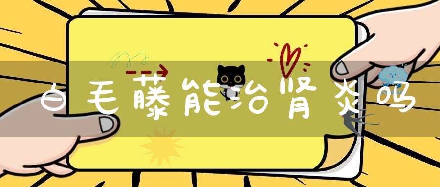 白毛藤能治肾炎吗？