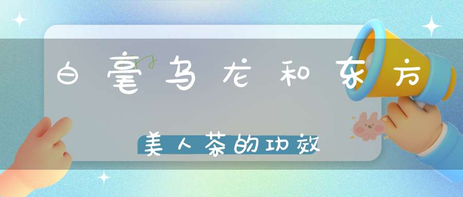白毫乌龙和东方美人茶的功效
