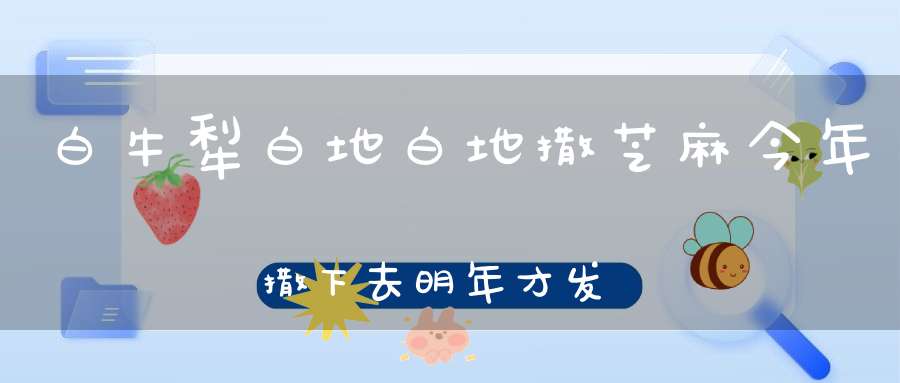 白牛犁白地，白地撒芝麻，今年撒下去，明年才发芽。 （猜一动物）