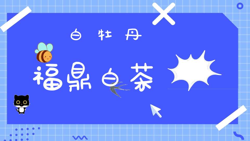 白牡丹福鼎白茶