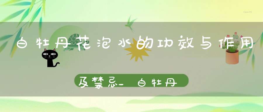 白牡丹花泡水的功效与作用及禁忌_白牡丹花泡茶的功效