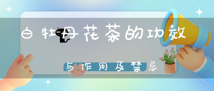 白牡丹花茶的功效与作用及禁忌