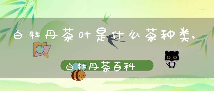白牡丹茶叶是什么茶种类,白牡丹茶百科