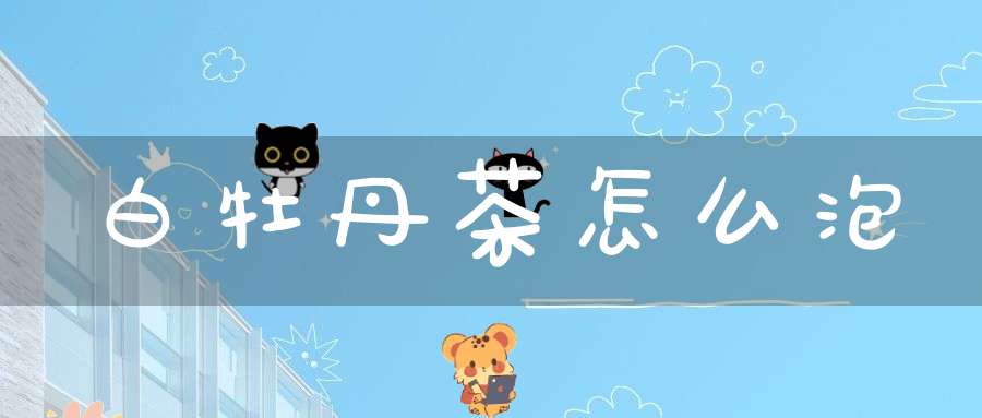 白牡丹茶怎么泡