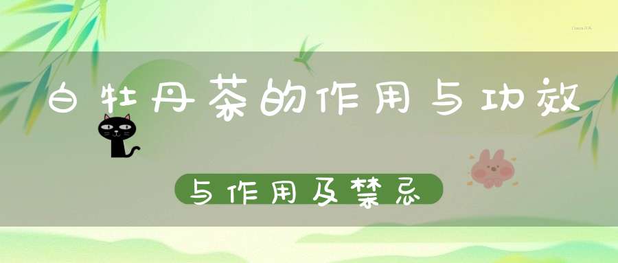 白牡丹茶的作用与功效与作用及禁忌