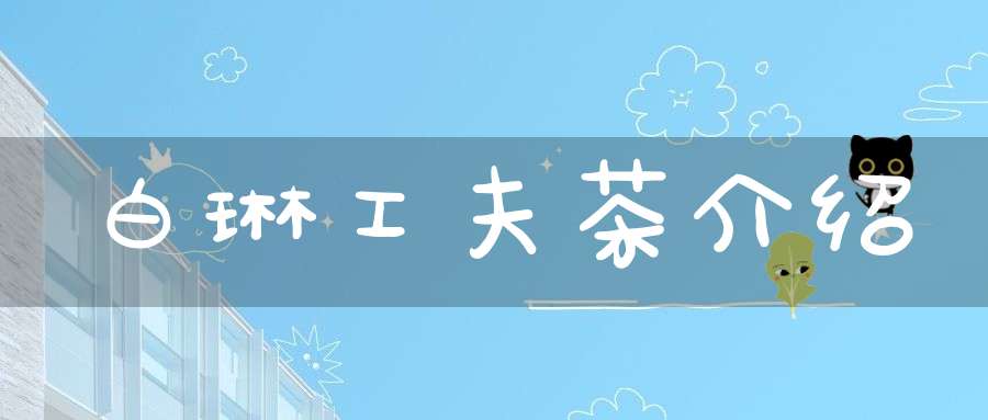 白琳工夫茶介绍