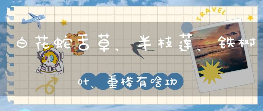 白花蛇舌草、半枝莲、铁树叶、重楼有啥功效？